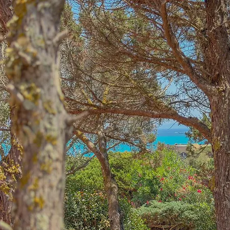 Villa Exclusive Overlooking La Pelosa By Host Hero